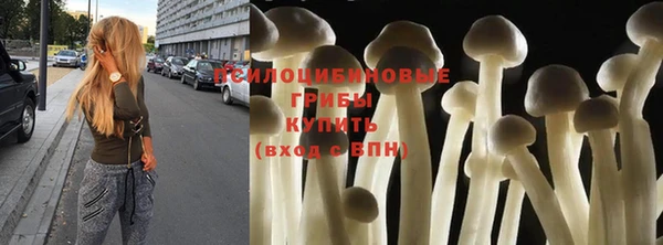 а пвп мука Коряжма