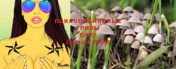 эйфоретик Костерёво