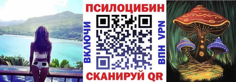 Псилоцибиновые грибы мицелий  Купить закладки  Бежецк 